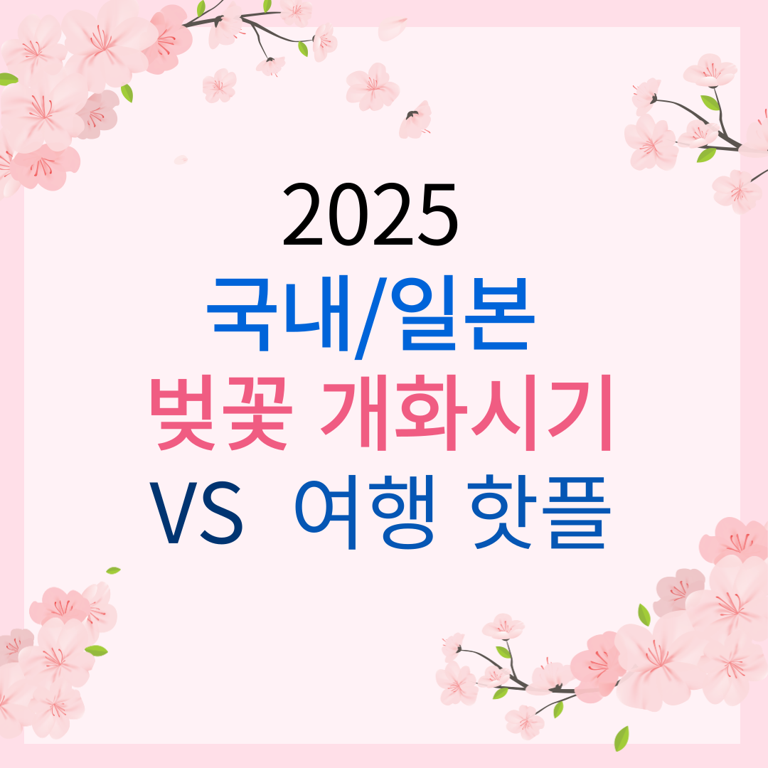 2025 국내 벚꽃 개화시기 여기가 핫플 VS 일본 벚꽃 개화 시기 일본 여행 핫플