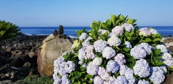 6월 제주도 아이와 함께 가볼만한곳 10곳 완벽 추천 리스트_7