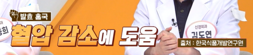 발효 홍국 효능