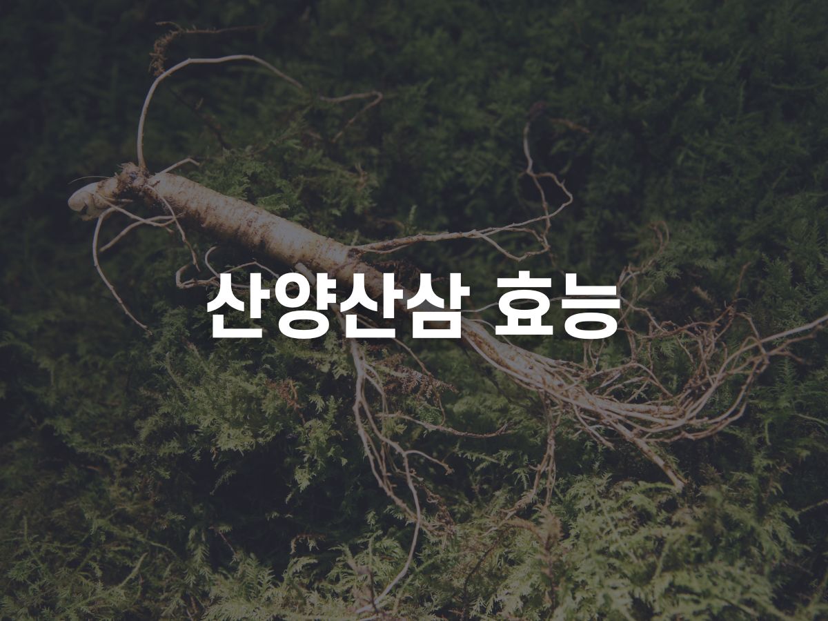 산양산삼 효능