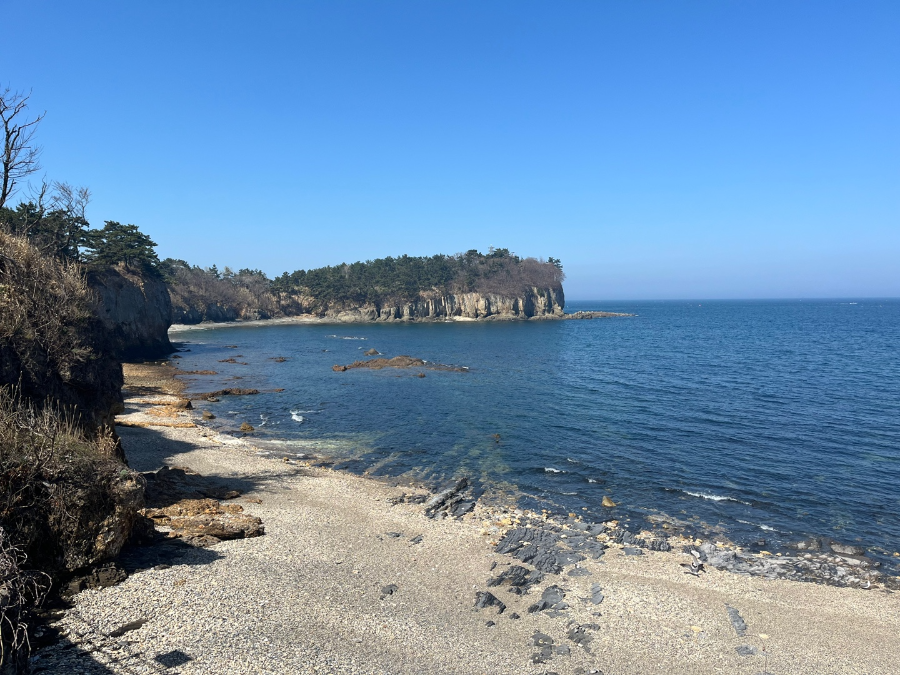 부안 수성당 유채꽃과 적벽강