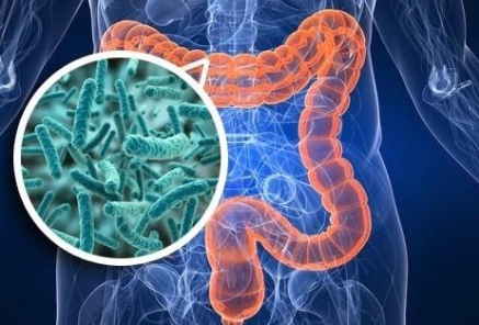 유산균 추천&amp;#44;프로바이오틱스