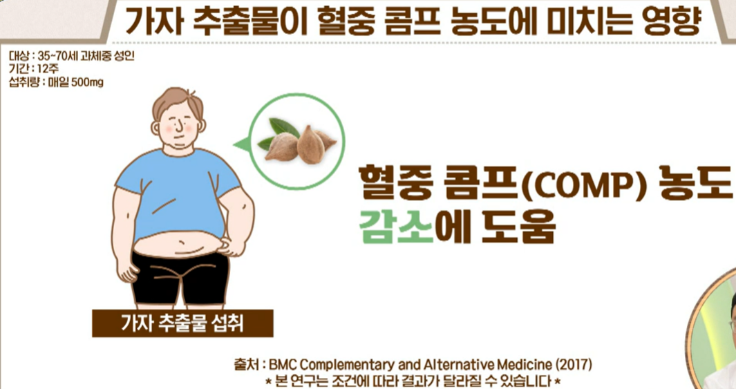 가자추출물 효능