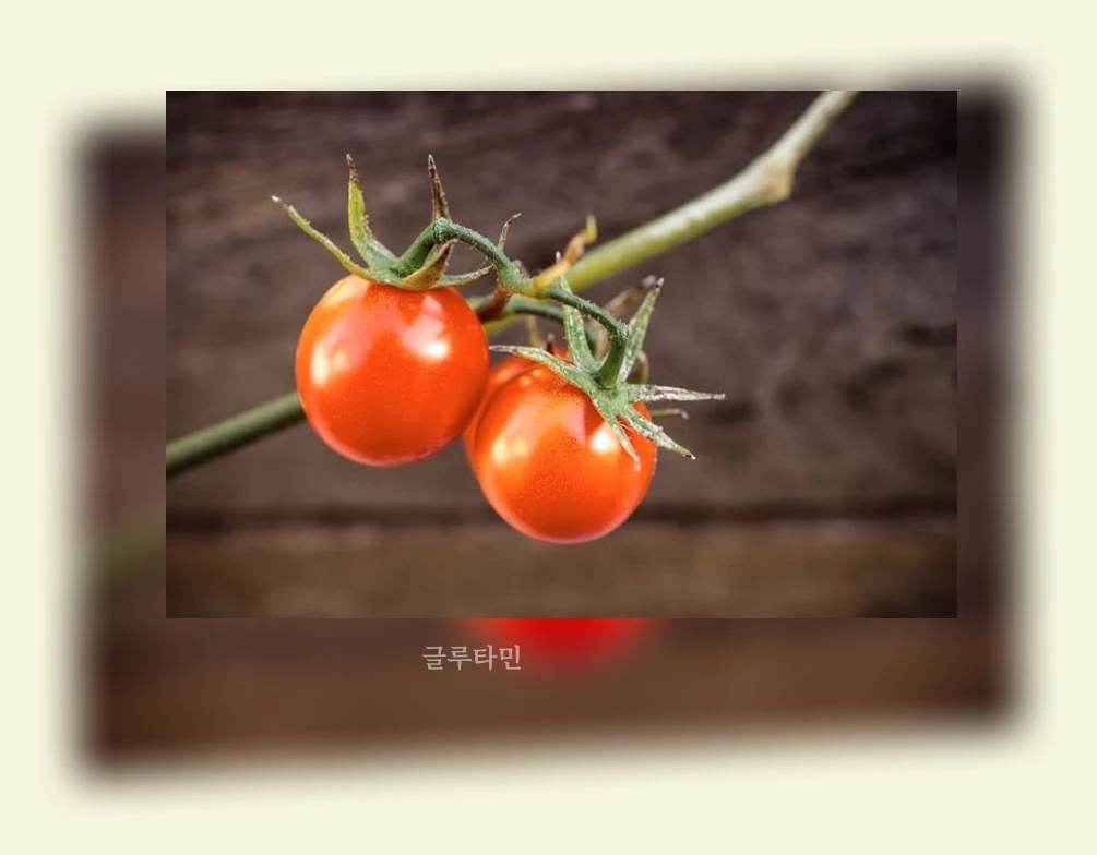 홈가드닝_3_subsection