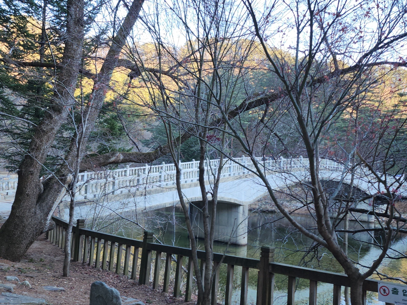 강원도 오대산 월정사 선재길 전나무숲길