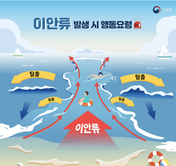 이안류 발생시 행동요령 