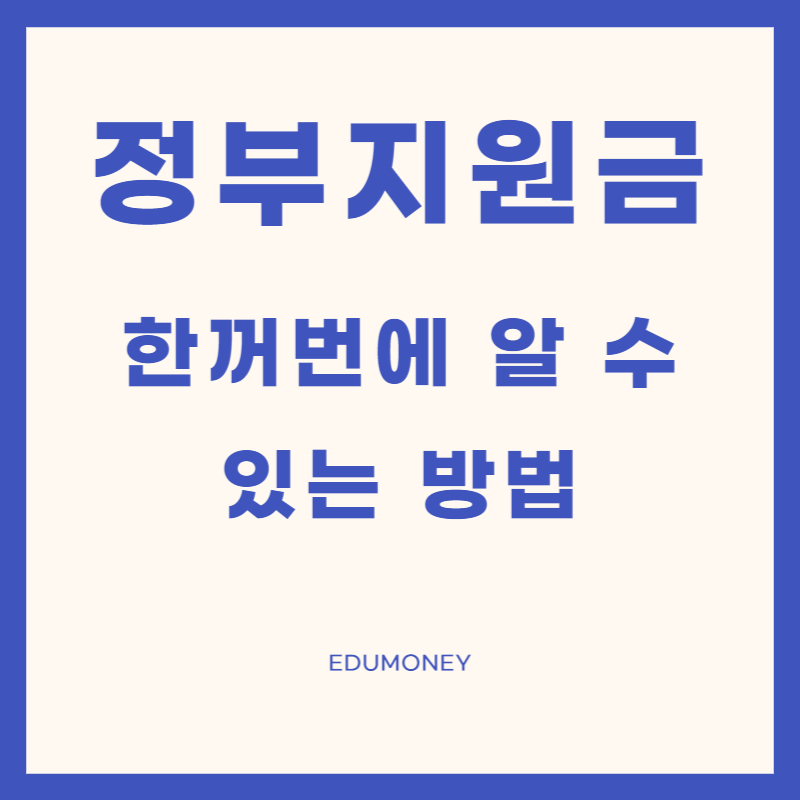 정부지원금