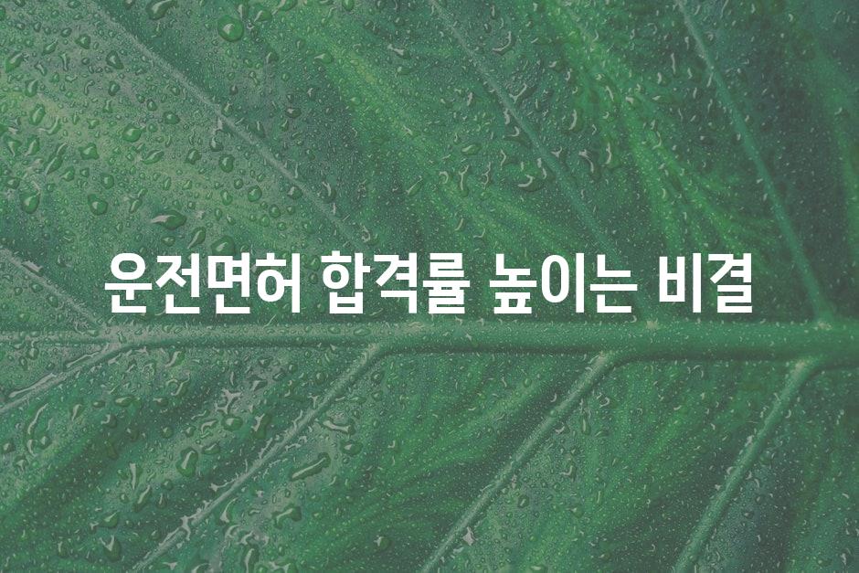 샘플 (44)