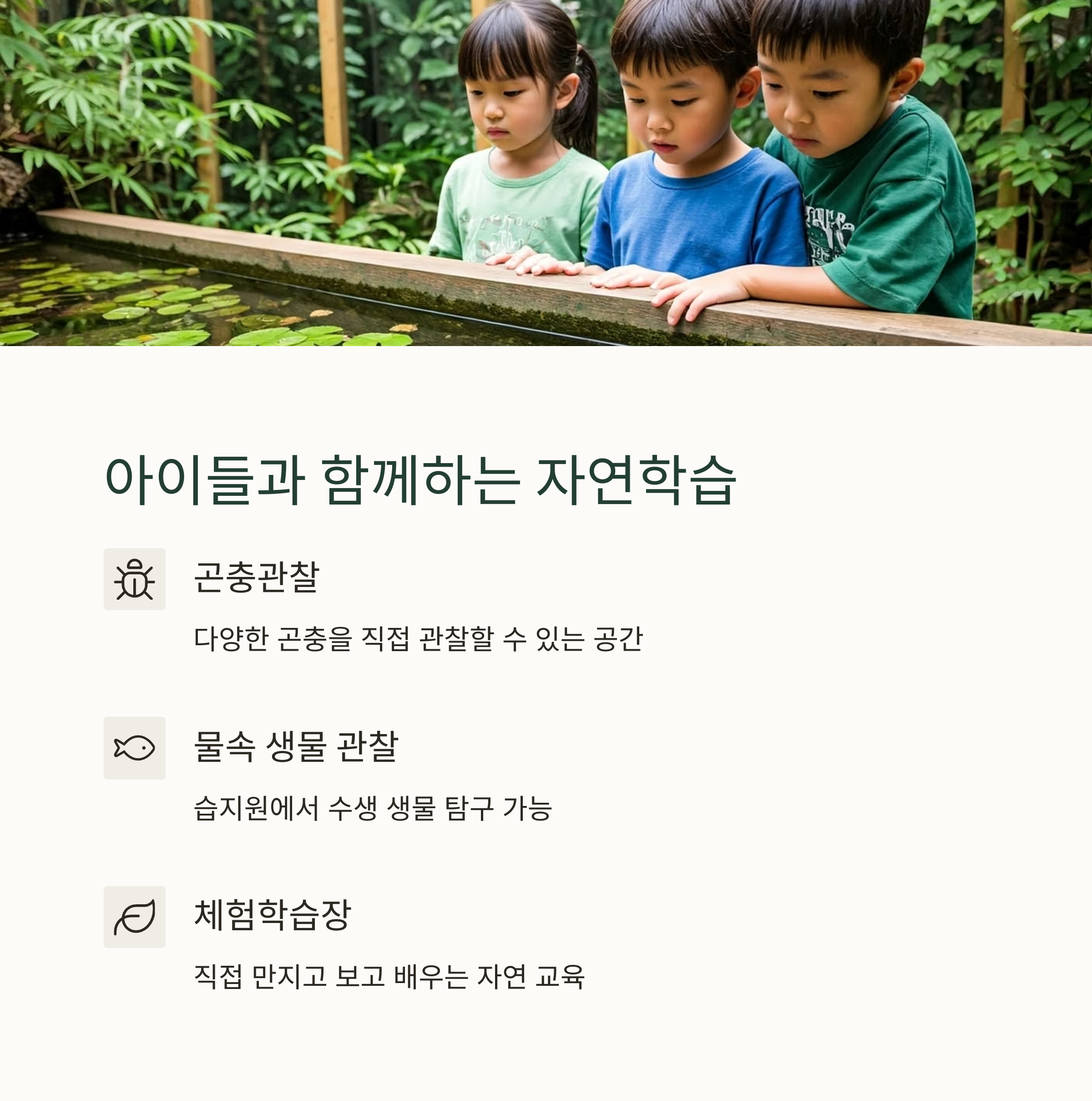 도심 속 힐링 명소, 한밭수목원 산책의 모든 것