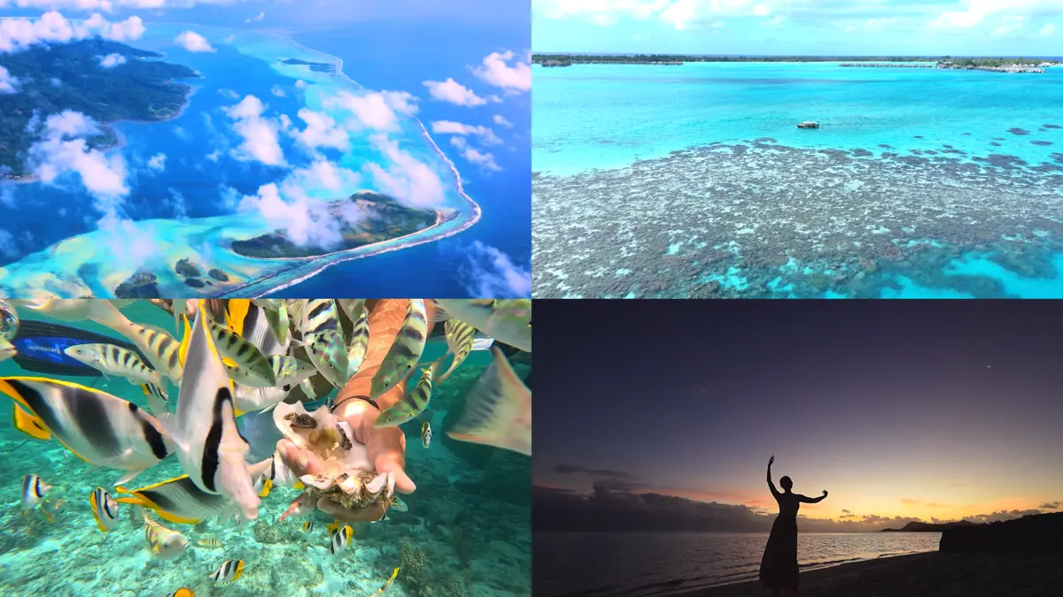 세계테마기행 - 타히티