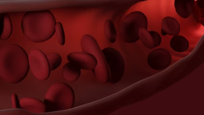 몸에 칼륨이 과다하게 쌓이는 경우 고칼륨혈증