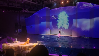 아쿠아 플라넷 제주