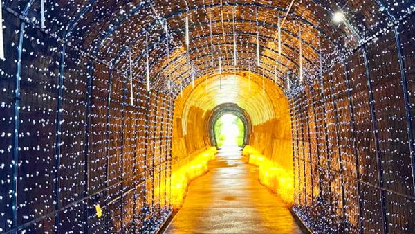 원주시 우산동~반곡관설동 11.3km를 잇는 폐철도 복원 바람길숲(원주터널 은하수길)