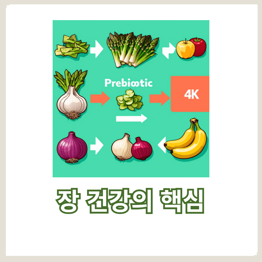장 건강의 핵심: 프로바이오틱스와 프리바이오틱스의 차이와 효과