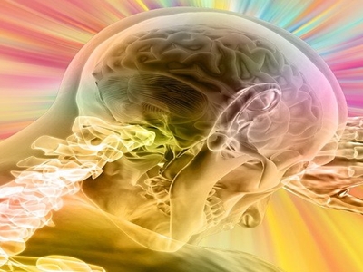 팽이버섯 사진5