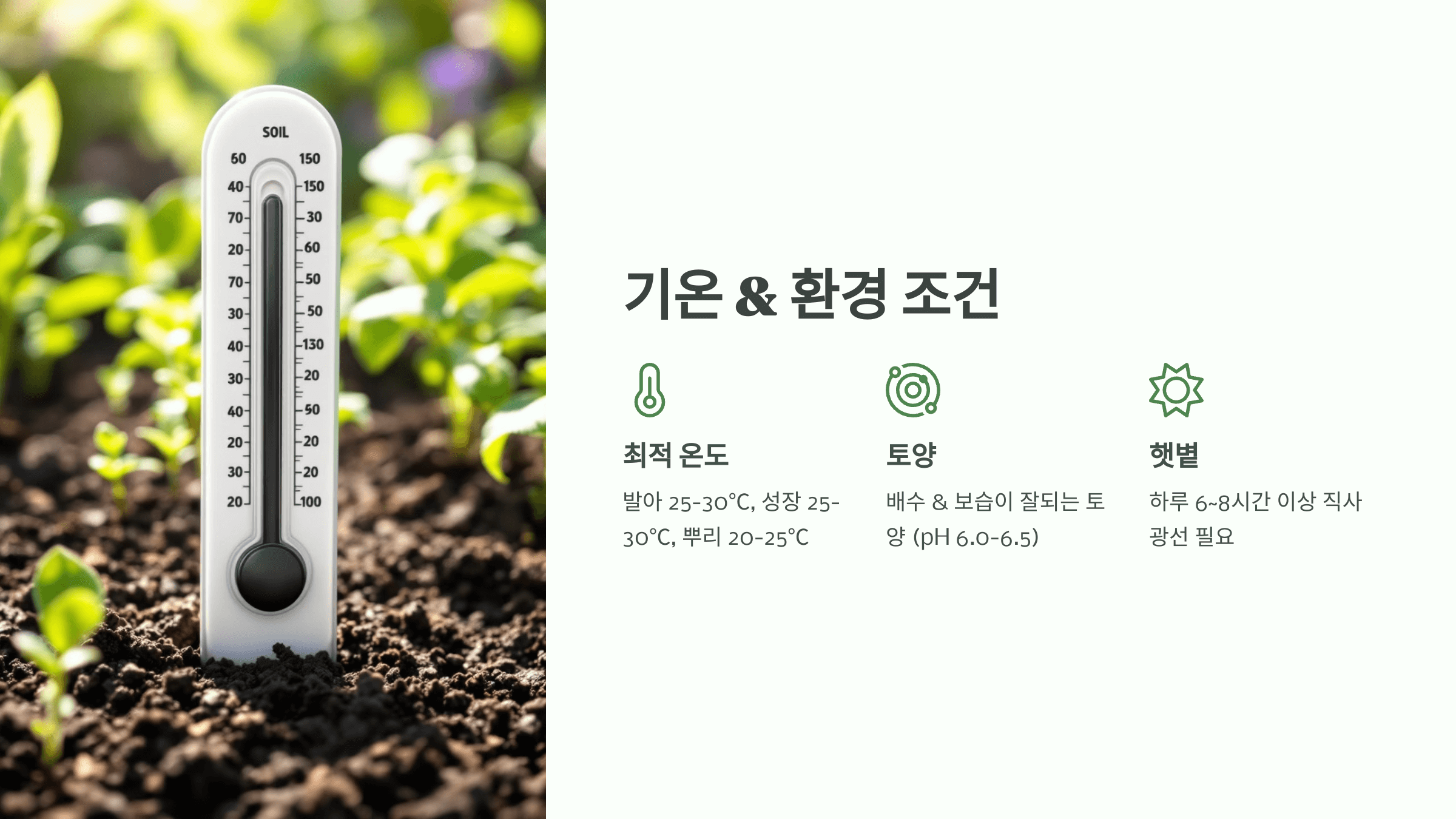 수박 사진입니다.