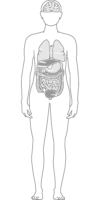 간경화 초기증상부터 4기 말기까지 증상, 생존율, 영양제