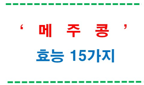 유네스코 등재 메주콩 효능과 활용법