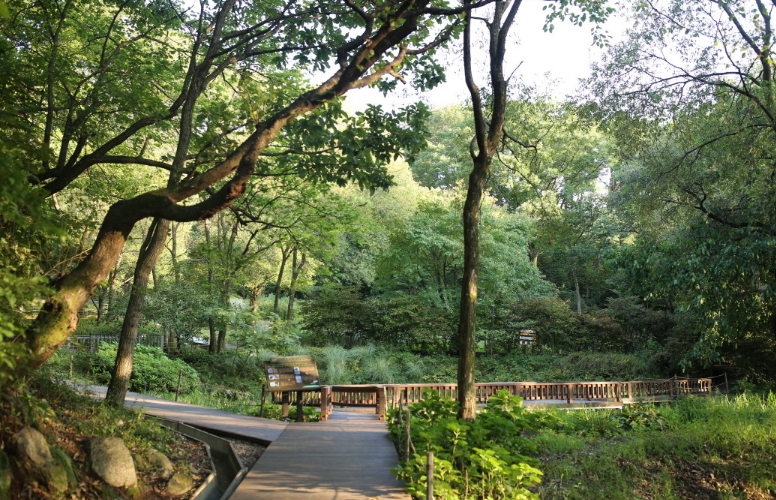 용인자연휴양림