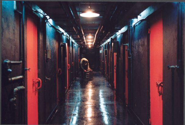 올드보이 네이버영화