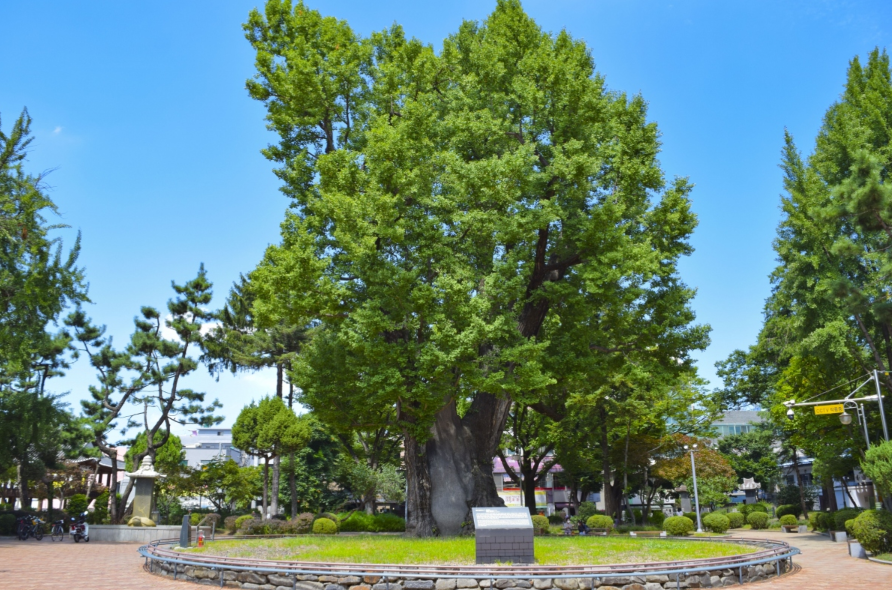 청주 가볼만한곳 베스트10