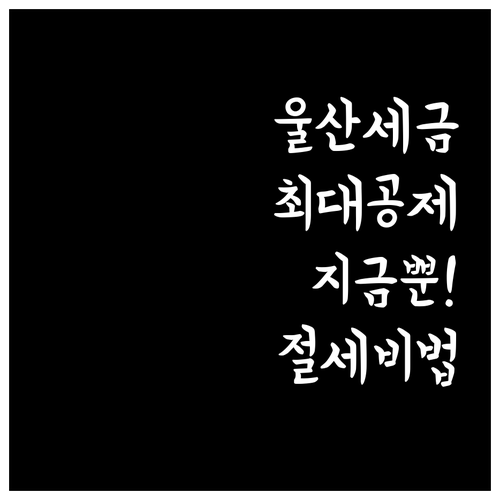 울산 자동차세 연납으로 세금 아끼는 ..