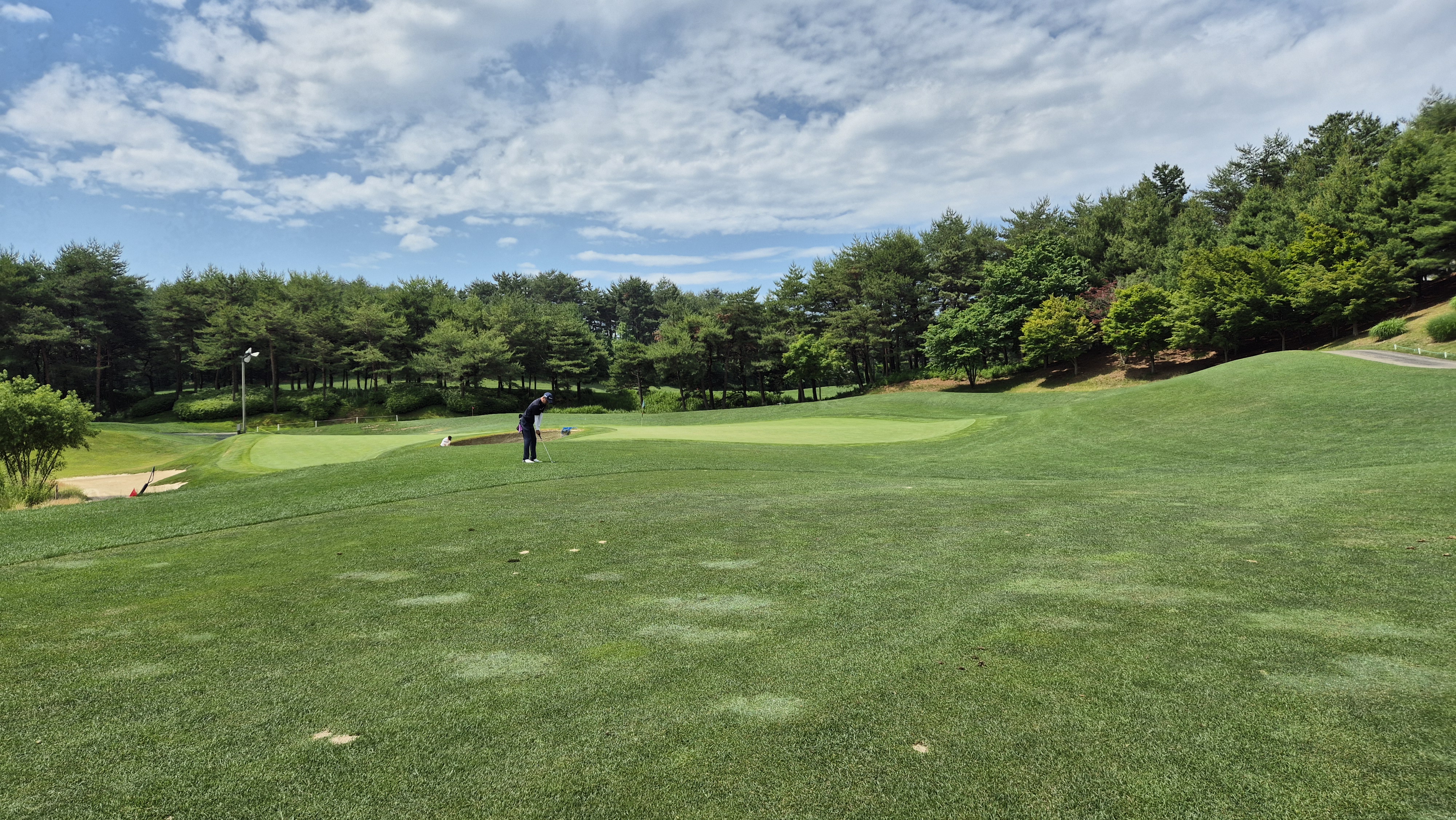 파인리즈cc 후기 및 코스사진
