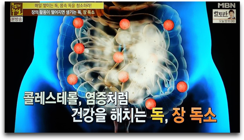 몸속 독소는 암에 걸릴 수 있다