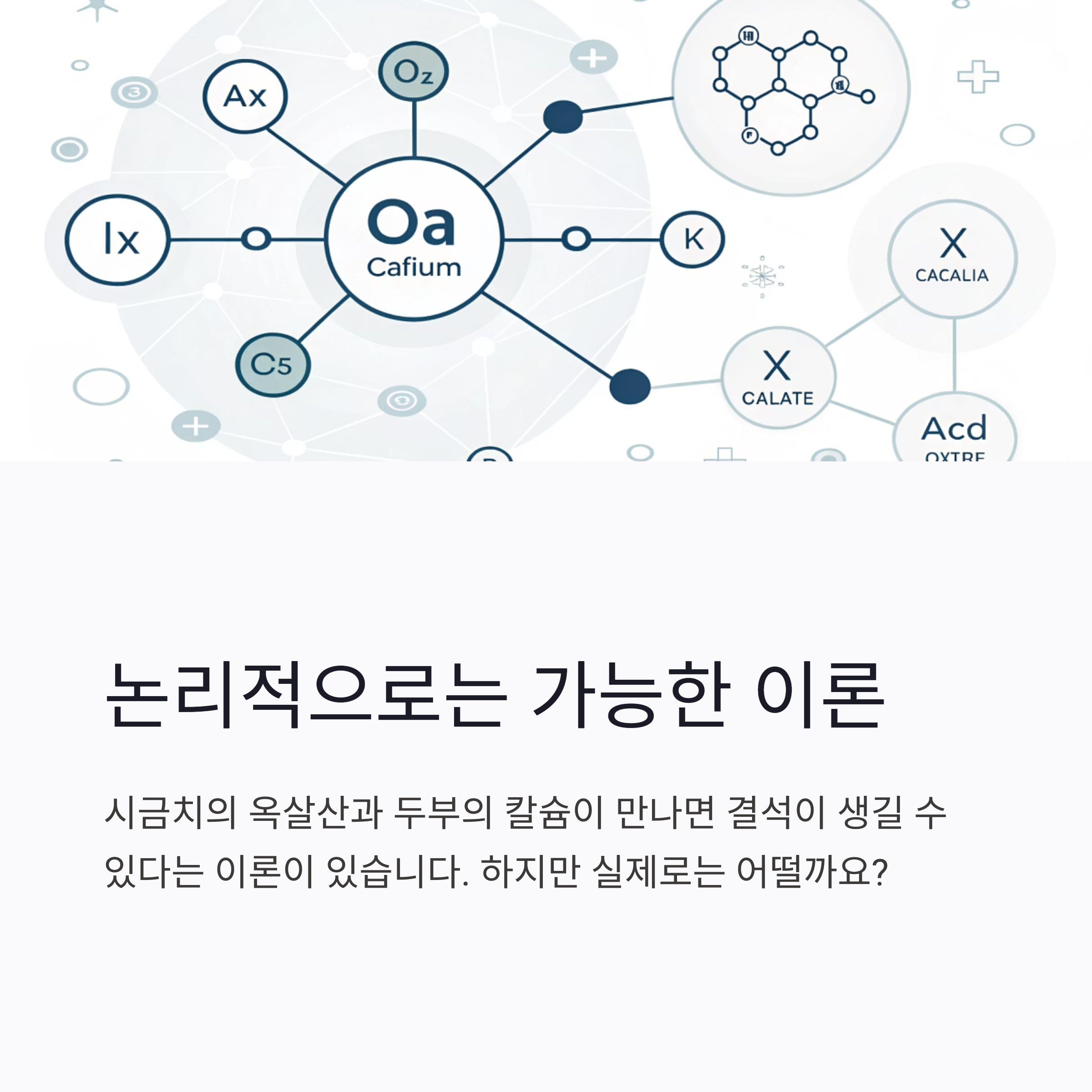 논리적으로 가능한 이론