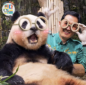 푸바오 마지막 배웅행사 보기