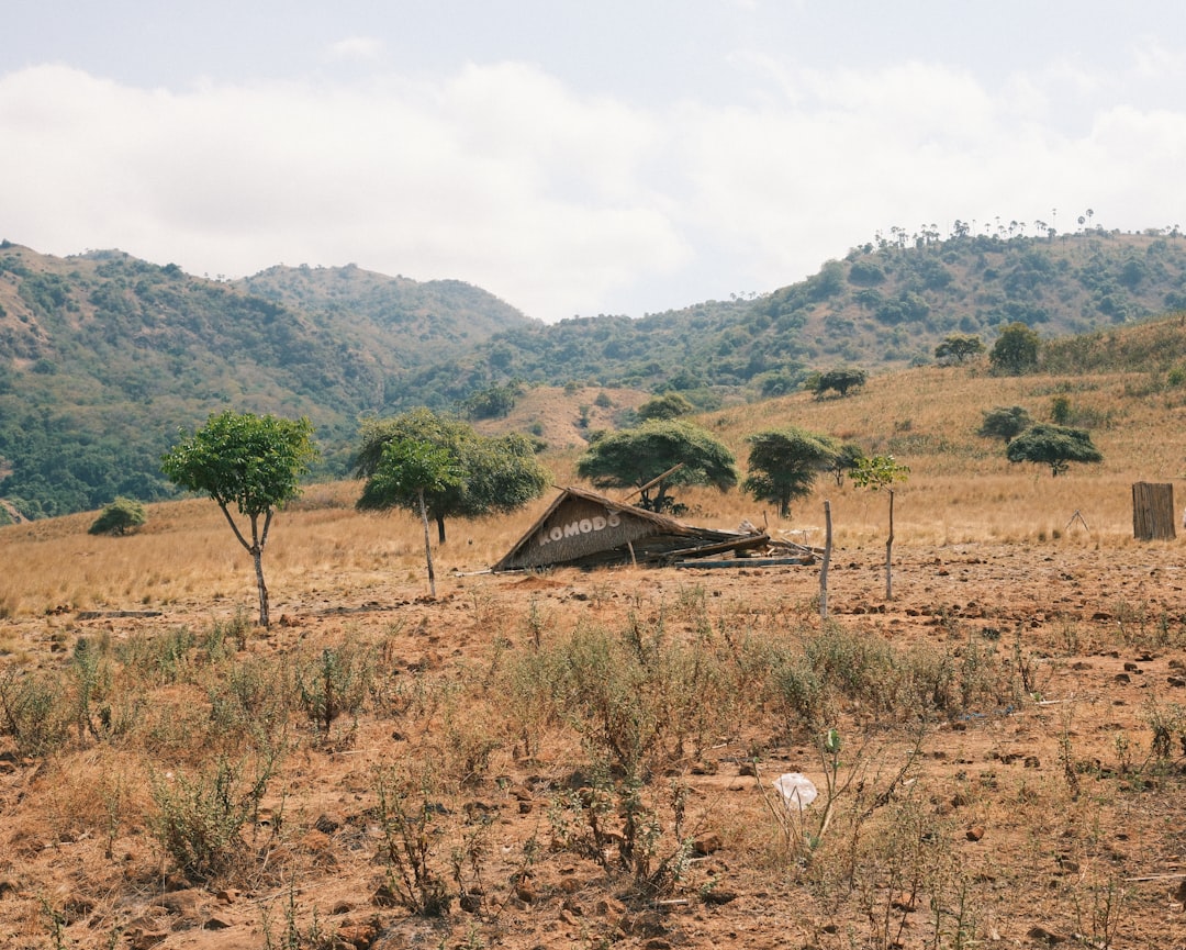 Land Use