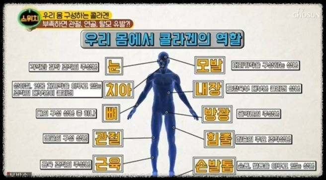 콜라겐과 치매: 두 가지의 숨겨진 연관성