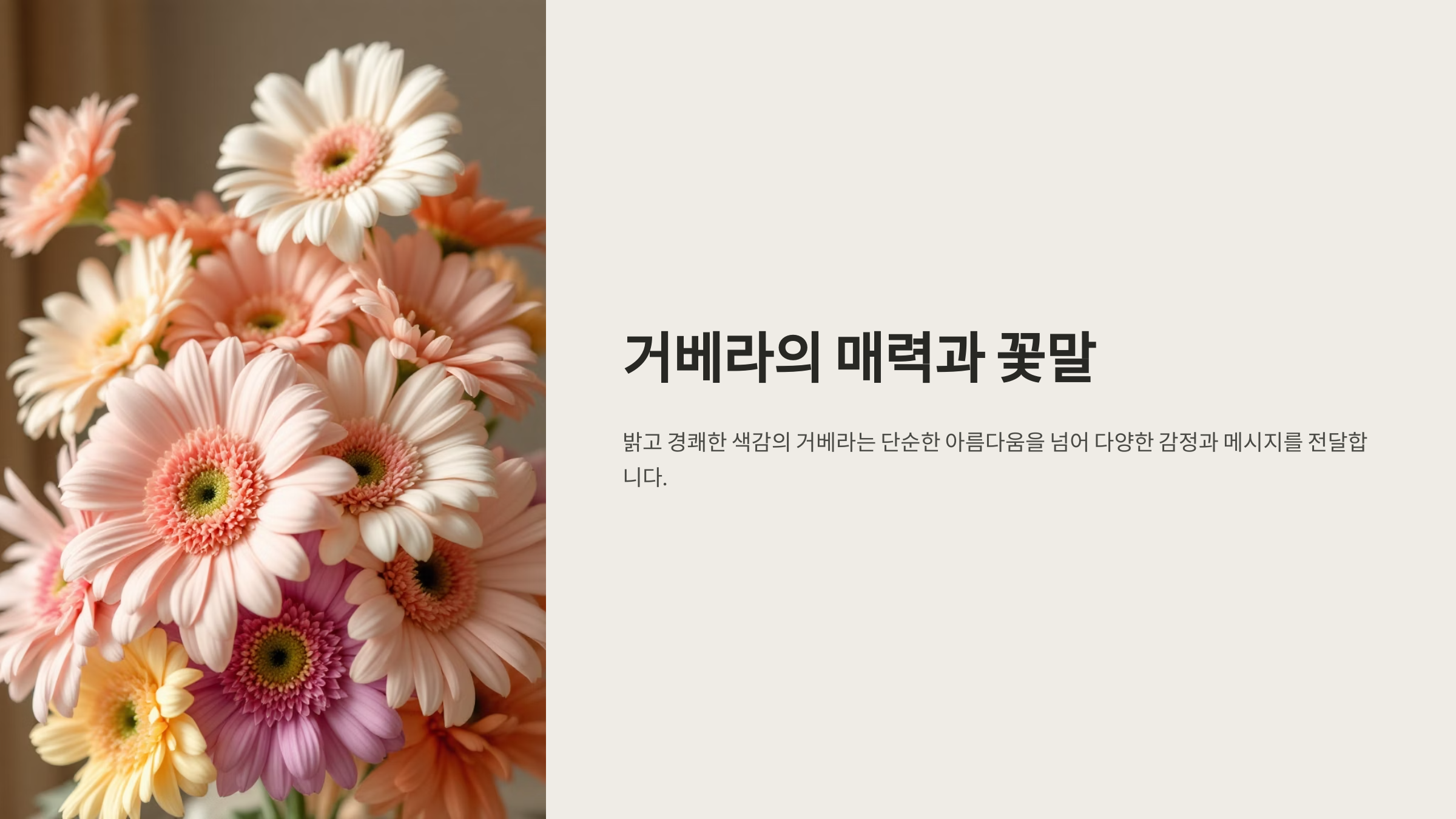 거베라 꽃말