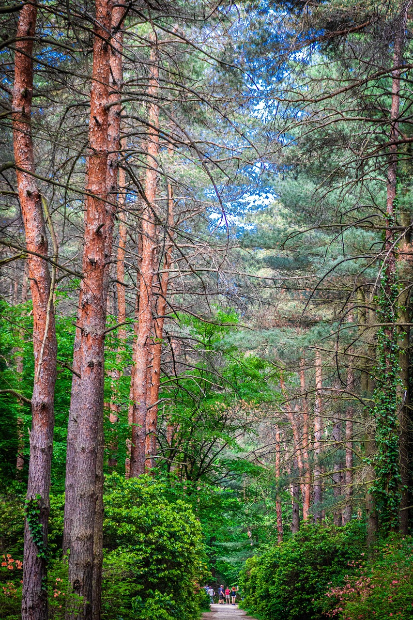 국내 힐링 여행지 베스트 10곳
