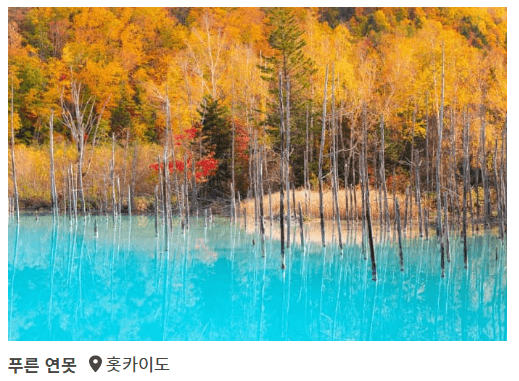 가을1