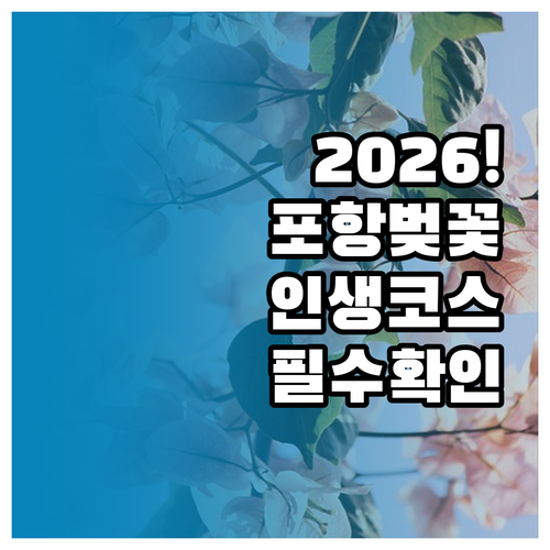 2026년 포항 지역 벚꽃 시기별 일..
