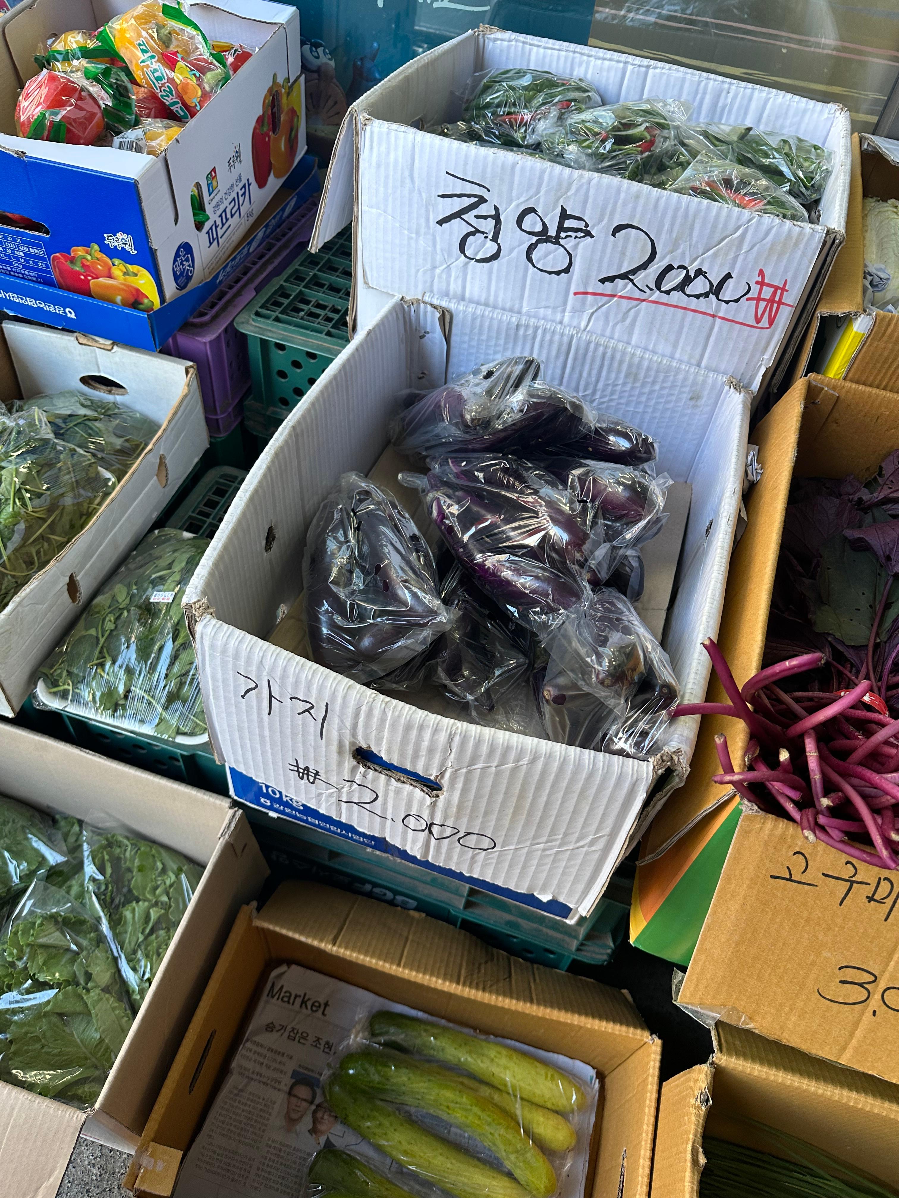 Eel or Eggplant? Park Na-rae&rsquo;s Eggplant Rice Bowl Recipe (Following Celebrity Diet Meal Plans, Healthy Diet, Delicious Diet, Filling Diet, Super Simple Eggplant Rice Bowl Recipe, Sauce Recipe, Eggplant Benefits, Packed with Antioxidant and Anti-Cancer Properties, Recommended Vegetable Dish, Without Doubanjiang, Without Sugar, Without Allulose)