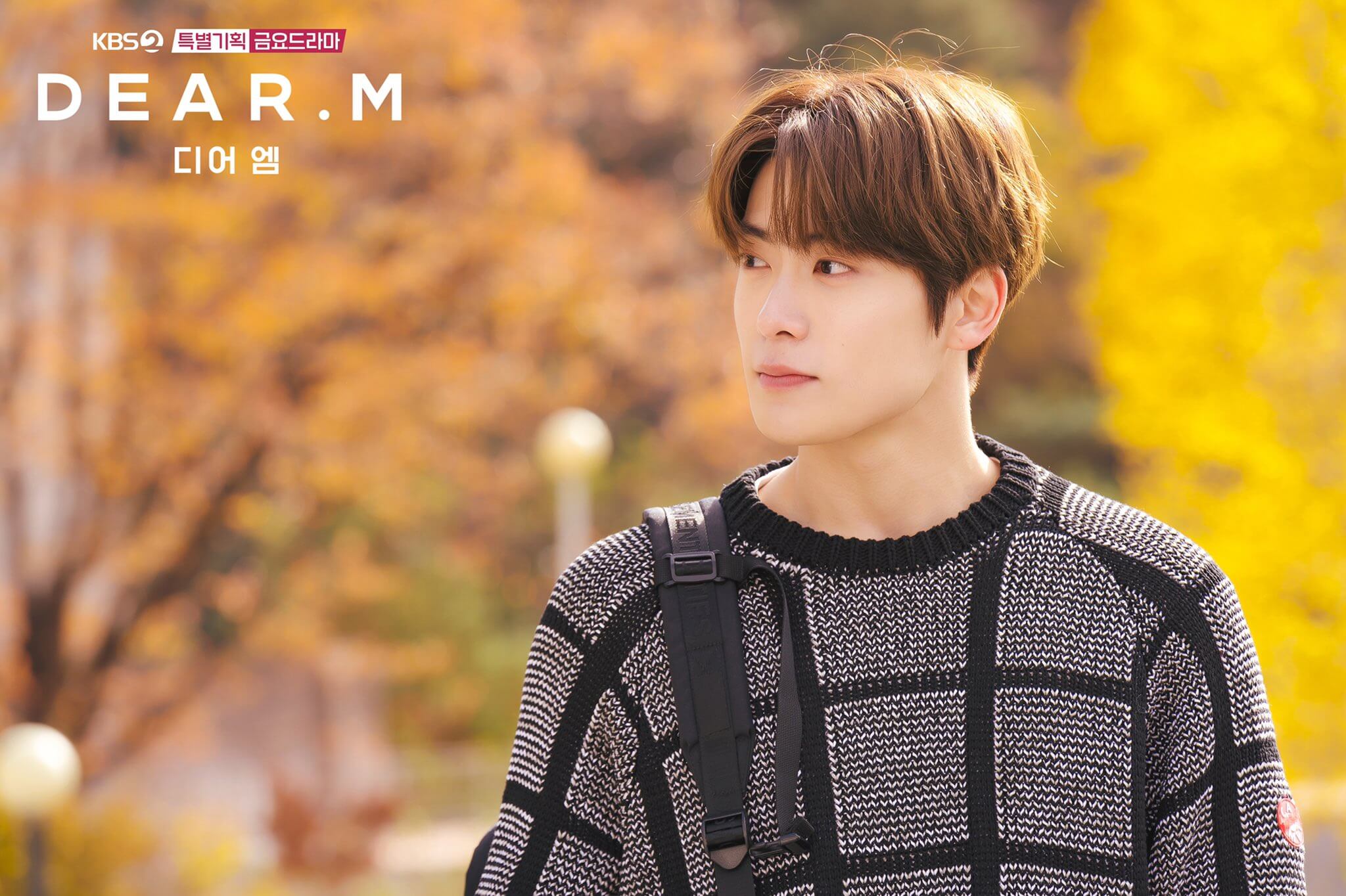 디어엠 방송일 줄거리 등장인물 출연진 논란 박혜수 재현 노정의 배현성