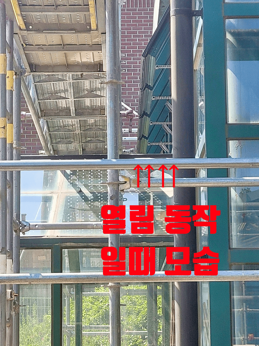 식물원-PJ전동창-열림테스트-확인모습입니다.