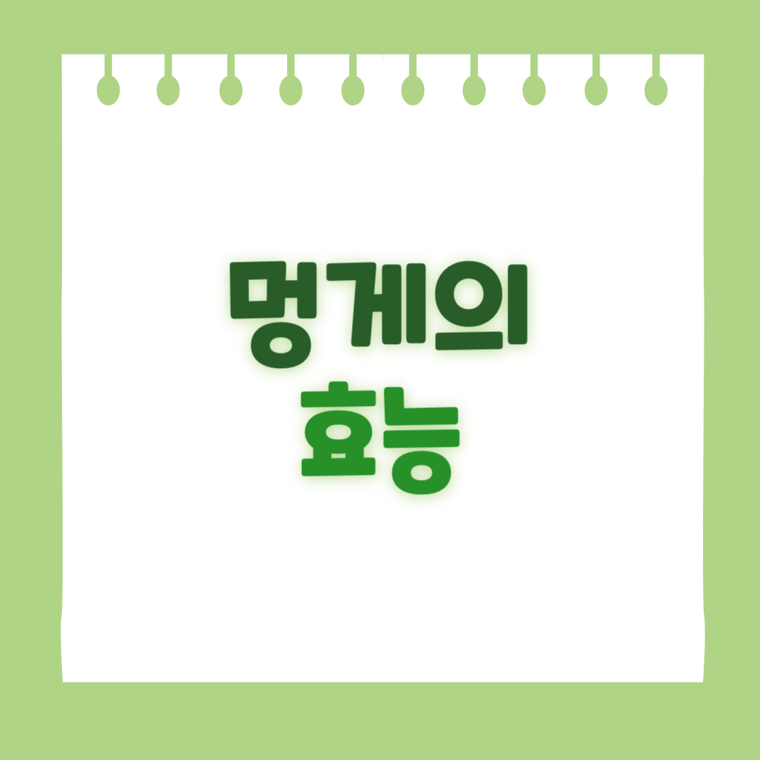 멍게의 효능