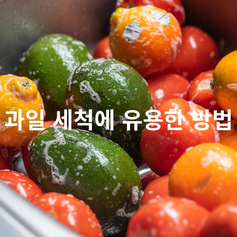 과일별 세척법 총정리