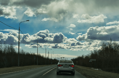 주류 향수 면세