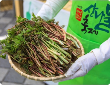 양평 용문산 산나물 축제