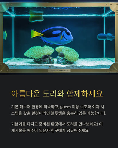 아름답지만 섬세한 어종
