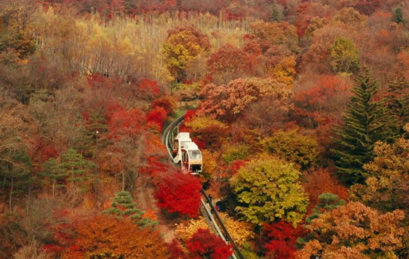hwadam-forest-fall-foliage-peak-season