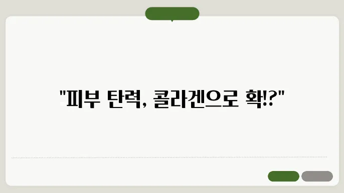 피부 건강을 위한 최적의 선택! 콜라겐 제품 비교 리뷰
