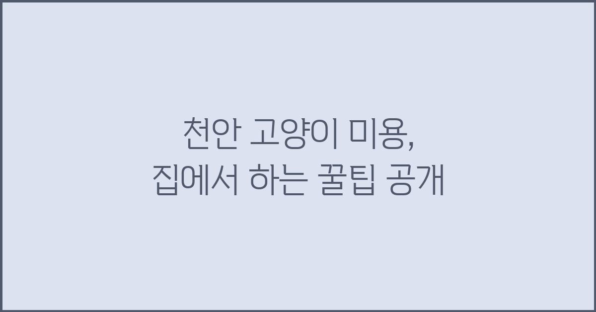 천안 고양이 미용