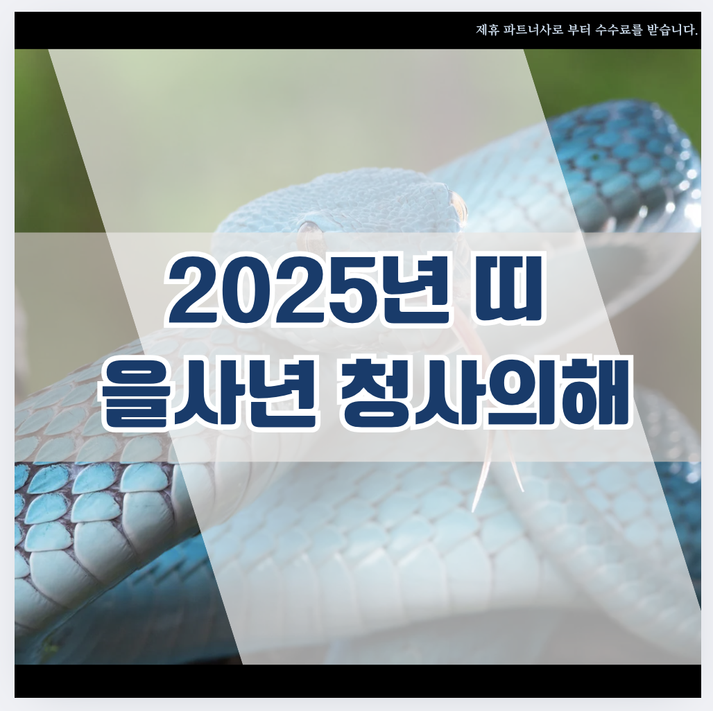 2025년 띠