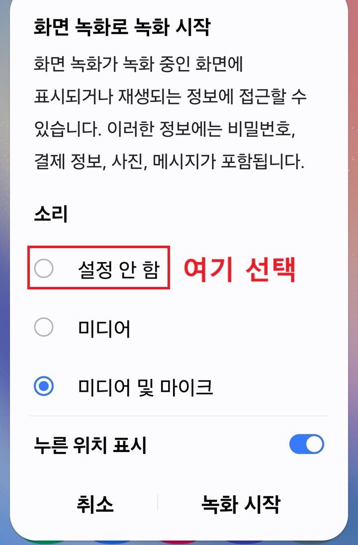 화면 녹화 설정창 보임