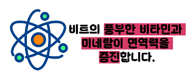 비트 효능 및부작용